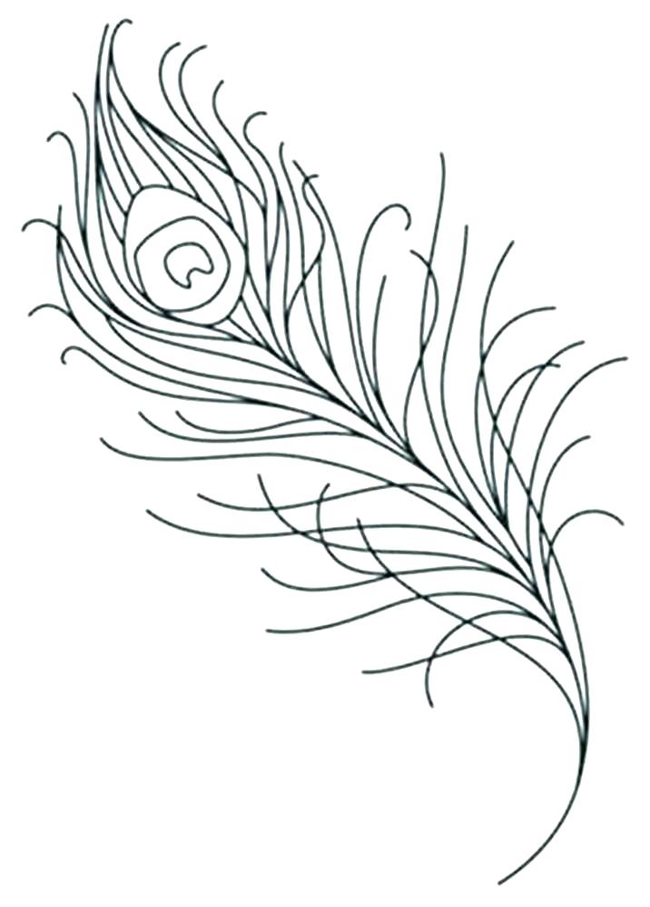 716x998 Feather Coloring Page