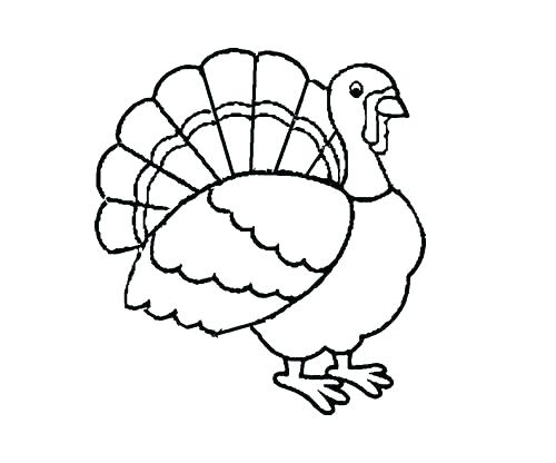 500x416 Printable Turkey Feathers Printable