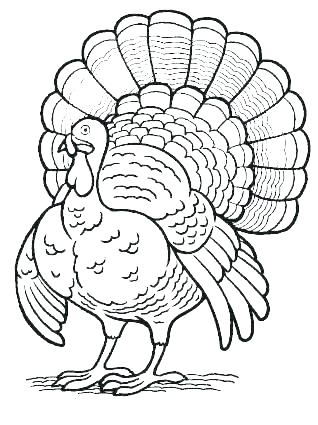 318x425 Coloring Page Turkey Turkey Head Coloring Page Coloring Page
