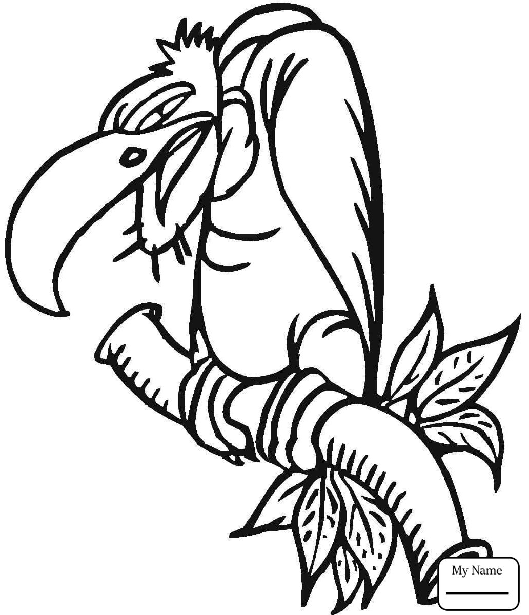 Turkey Vulture Coloring Page