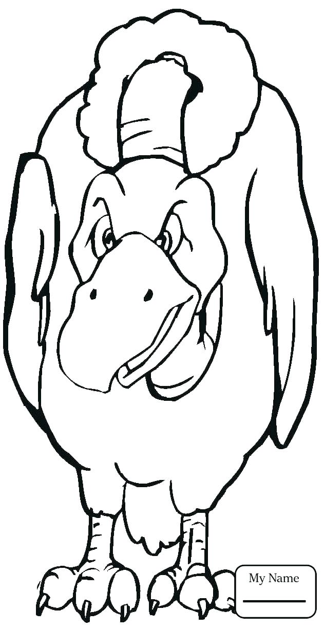 631x1224 Vulture Coloring Page Cartoon Vulture Coloring Page Turkey Vulture