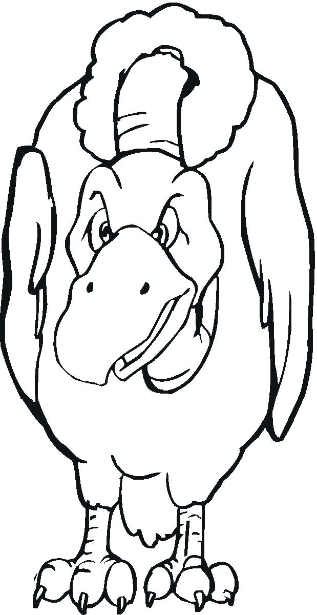 619x1200 Vulture Coloring Pages Vulture Coloring Page Vulture Color Pages