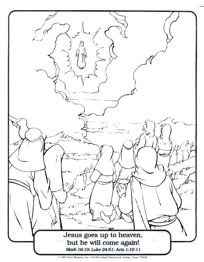682x873 Picture Into Coloring Page Palm The Feast Commemorates Triumphal