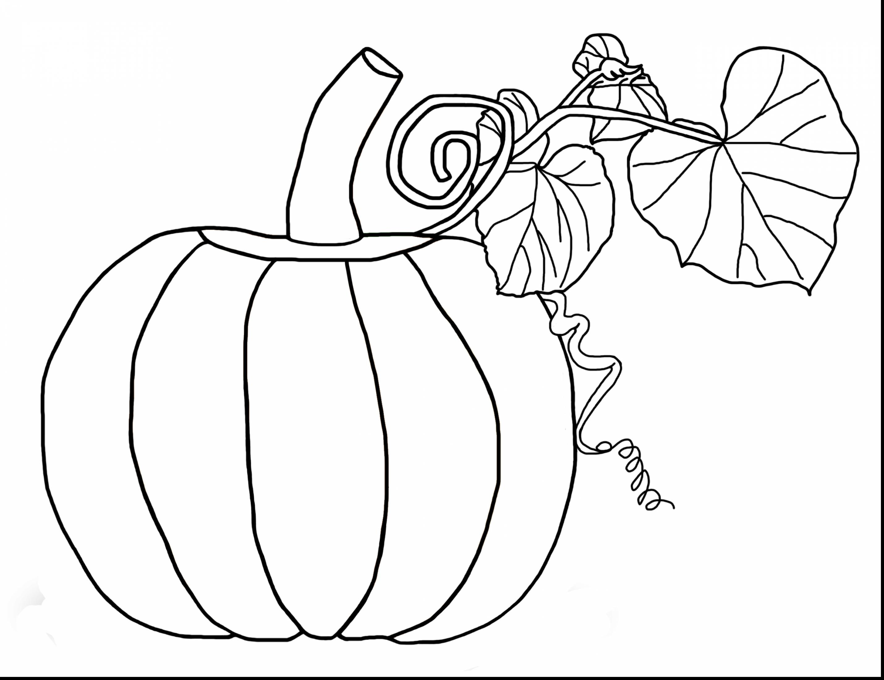 2860x2200 Turn Pictures Into Coloring Pages App Gallery