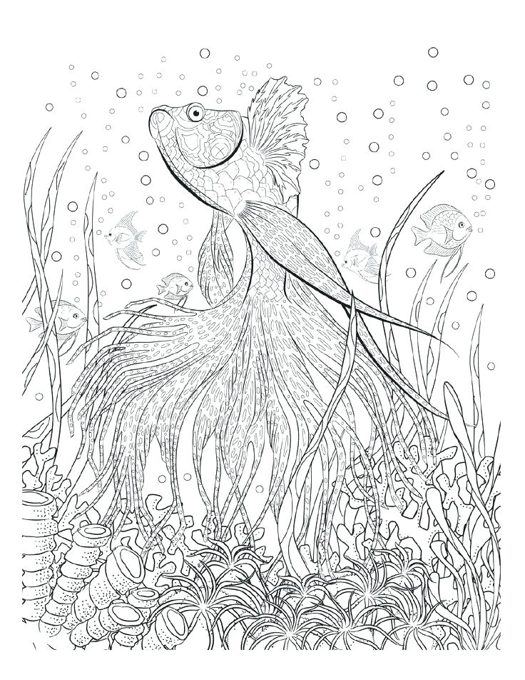 736x952 Apps That Turn Your Photos Into Coloring Pages Make Picture Into