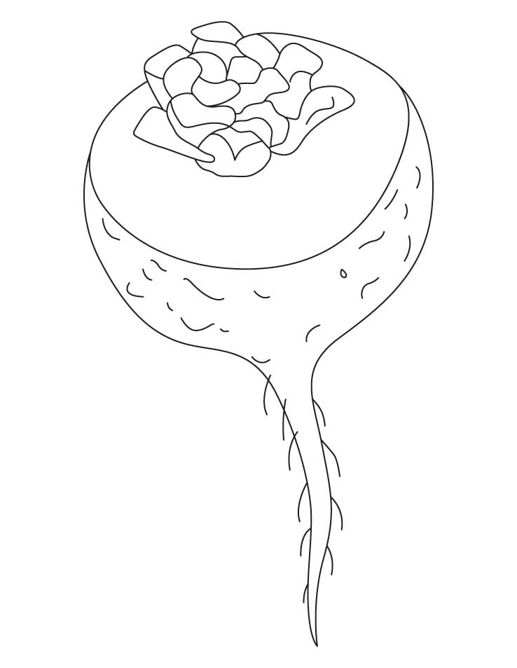 738x954 Indian Turnip Coloring Page Download Free Indian Turnip Coloring