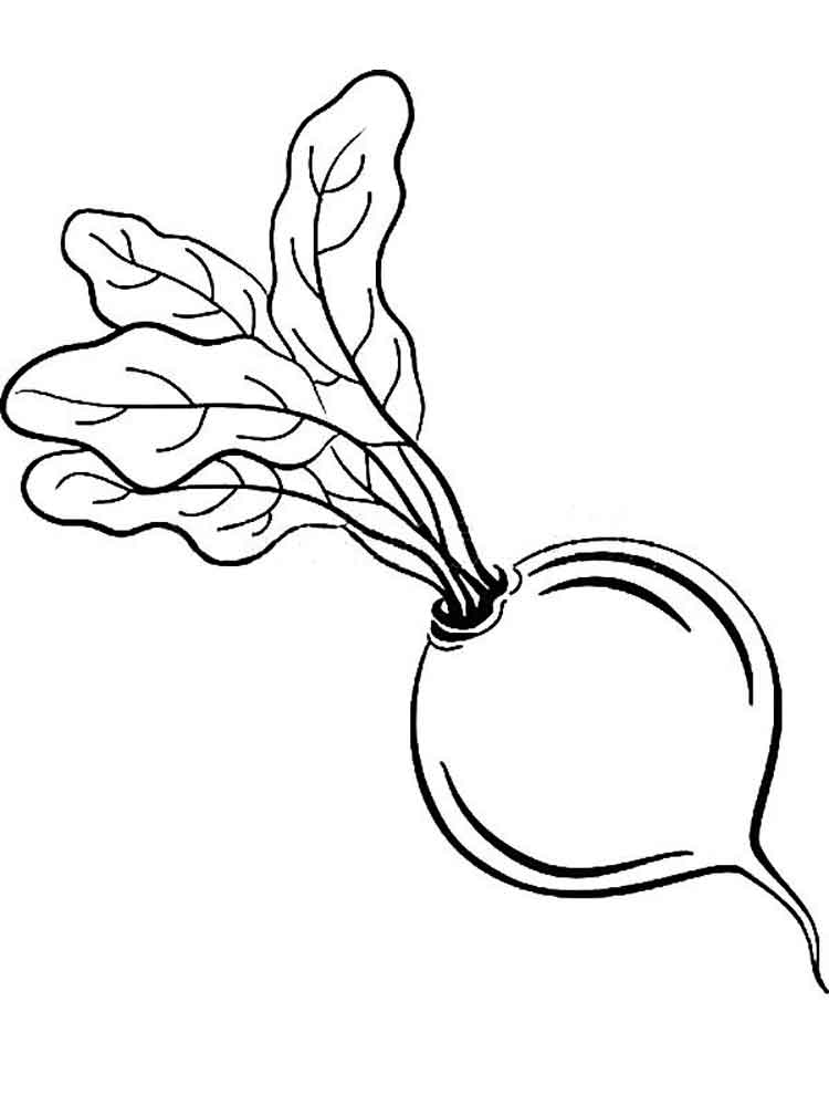 750x1000 Lettuce Turnip The Beet Kids