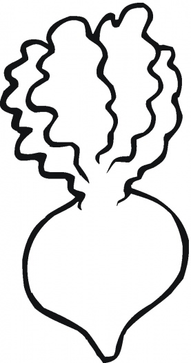 277x525 Beet Clipart Turnip