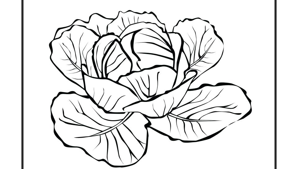 960x544 Turnip 3 Coloring Page Super Coloring Lettuce Turnip The Beet