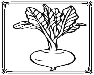 400x322 Turnip Coloring Page