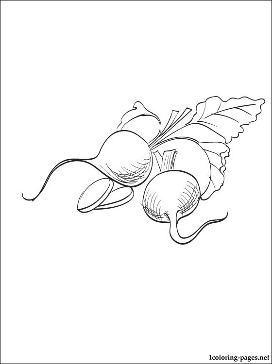 560x750 Turnip Printable And Coloring Page Coloring Pages