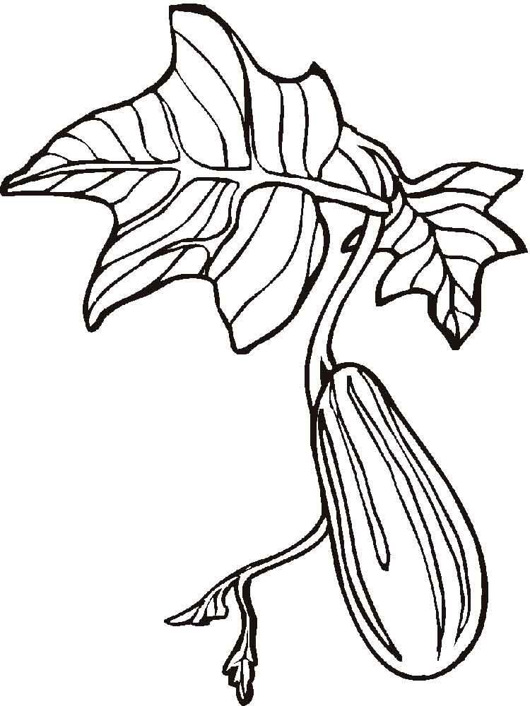 750x1000 Cucumber Coloring Pages. Download And Print Cucumber Coloring Pages