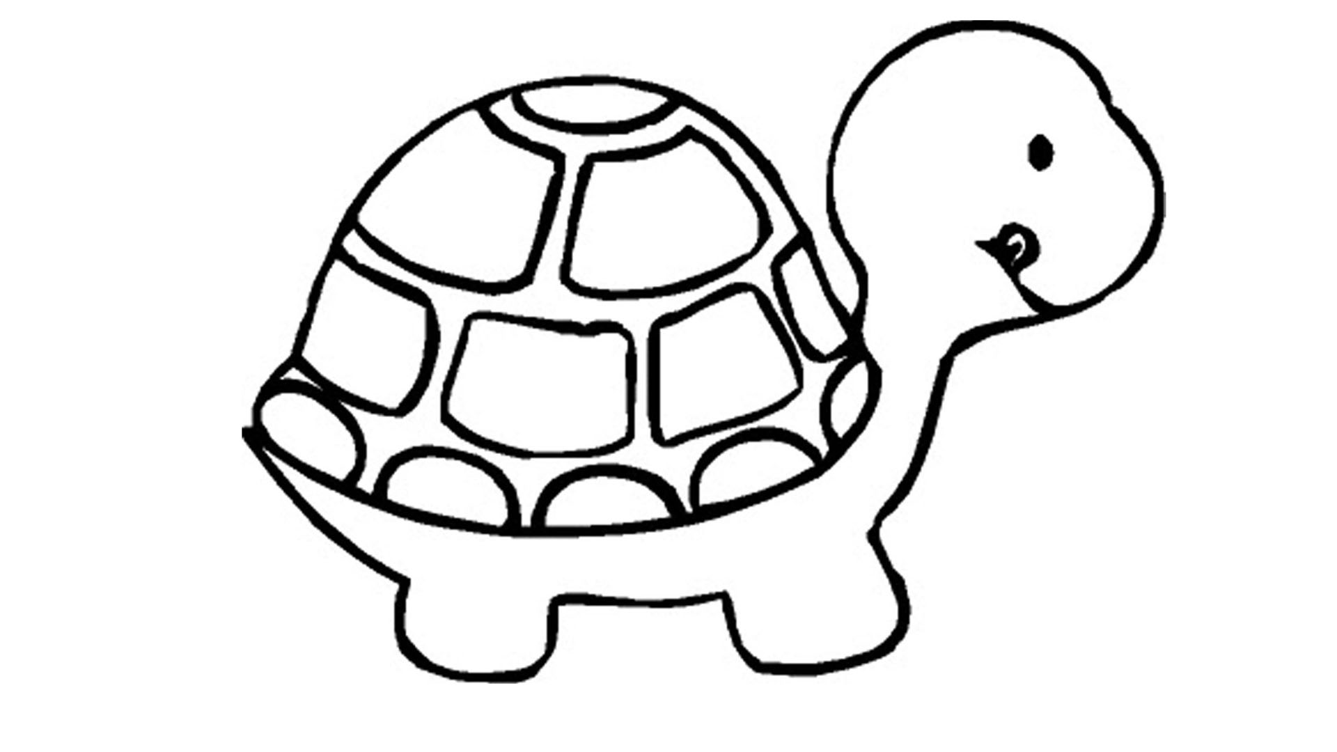 1920x1080 Happy Cute Coloring Pages Of Turtles Turtle Full Page A Impressive