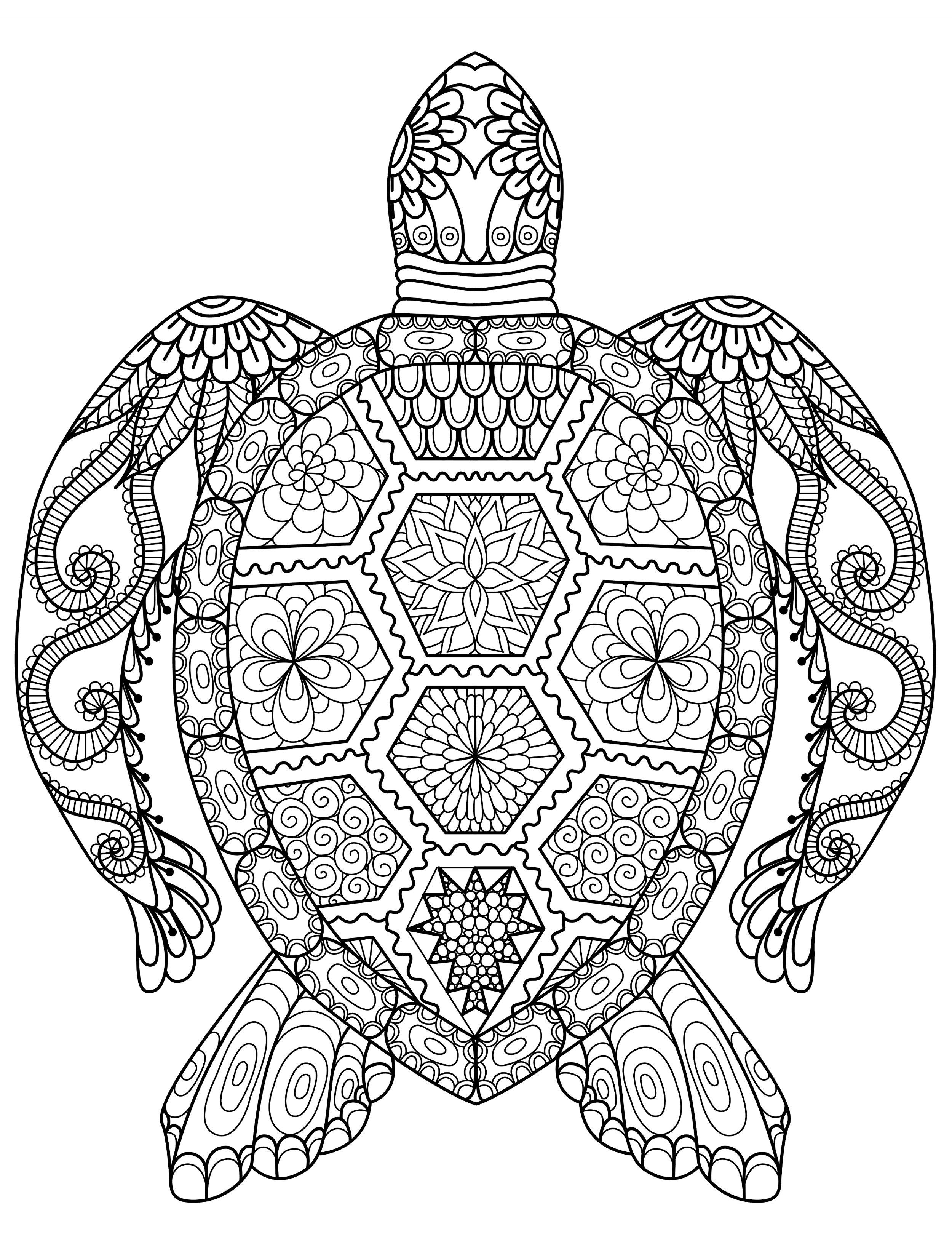 Turtle Coloring Pages