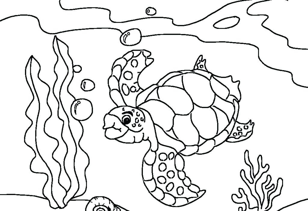 1024x701 Turtle Coloring Page Teenage Mutant Ninja Turtle Coloring Page