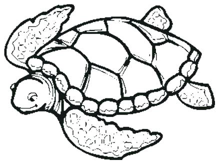 440x330 Turtle Mask Coloring Page Turtle Coloring Pages To Print Teenage