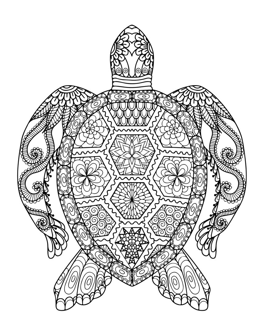 864x1080 Author Promotion And Turtle Coloring Pages For Adults On Turtle