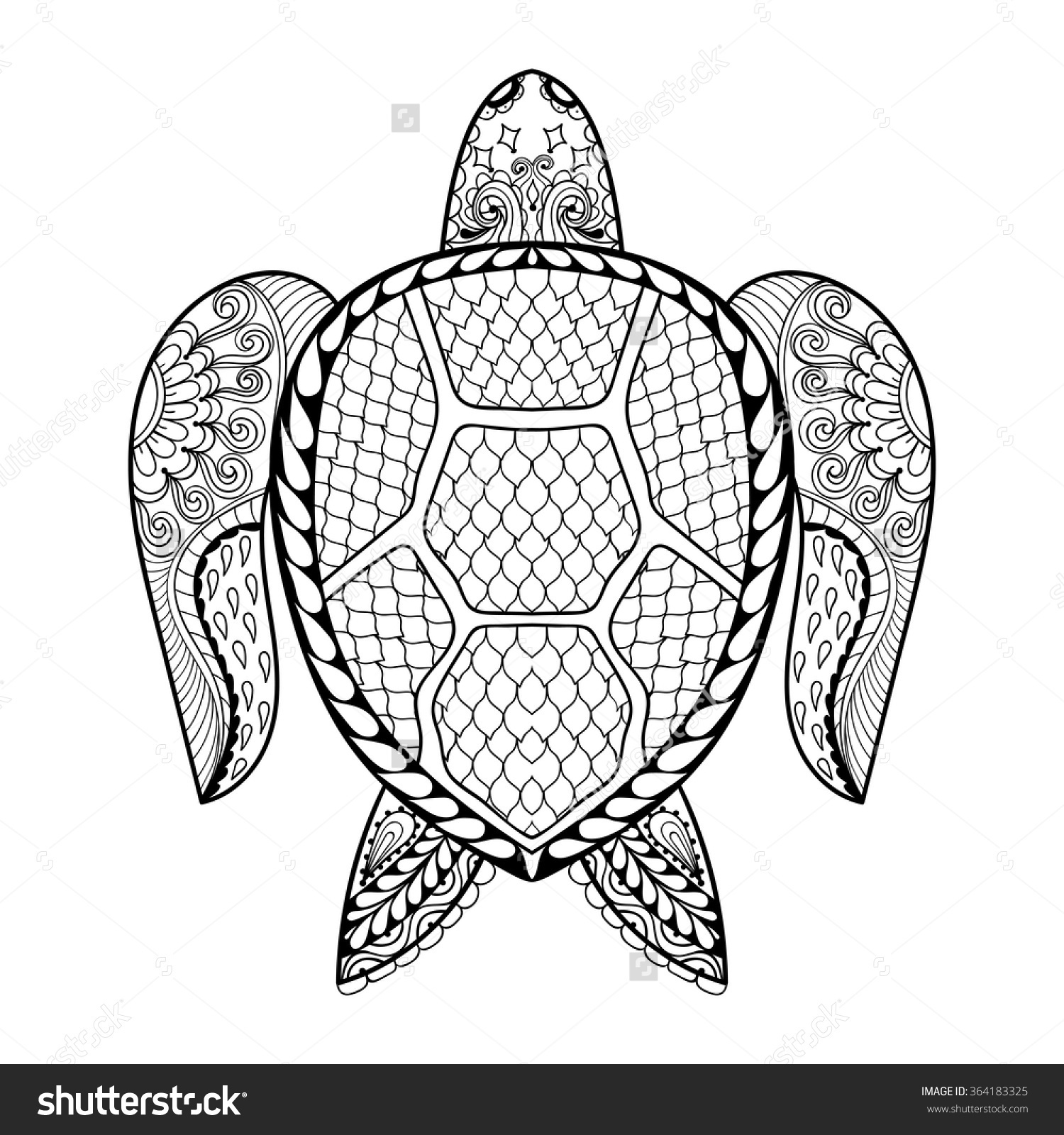 1500x1600 Awesome Turtle Coloring Pages Page In For Adults Studynow Free