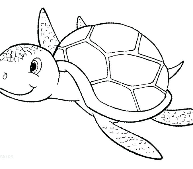 678x594 Printable Turtle Coloring Pages Cartoon Baby Turtle Coloring Page