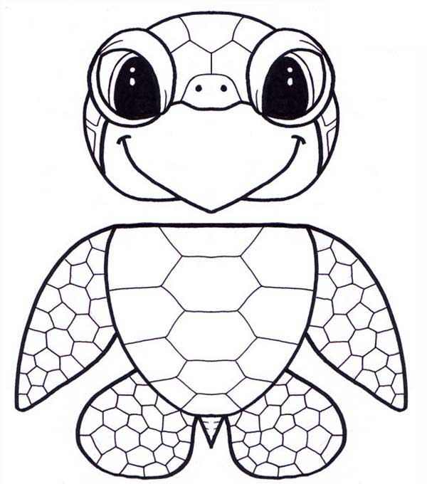 600x680 Turtle Coloring Pages Printable