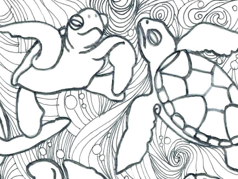 805x607 Coloring Pages Turtles Coloring Pages Turtles Coloring Pages