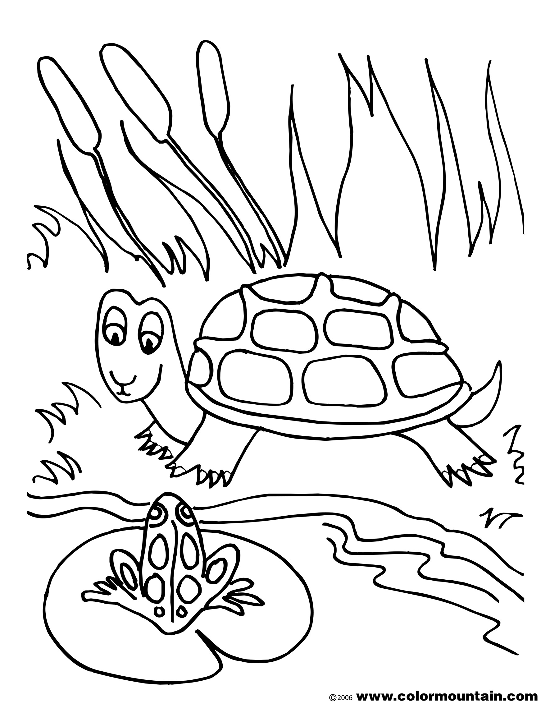 Turtle Coloring Pages For Preschoolers