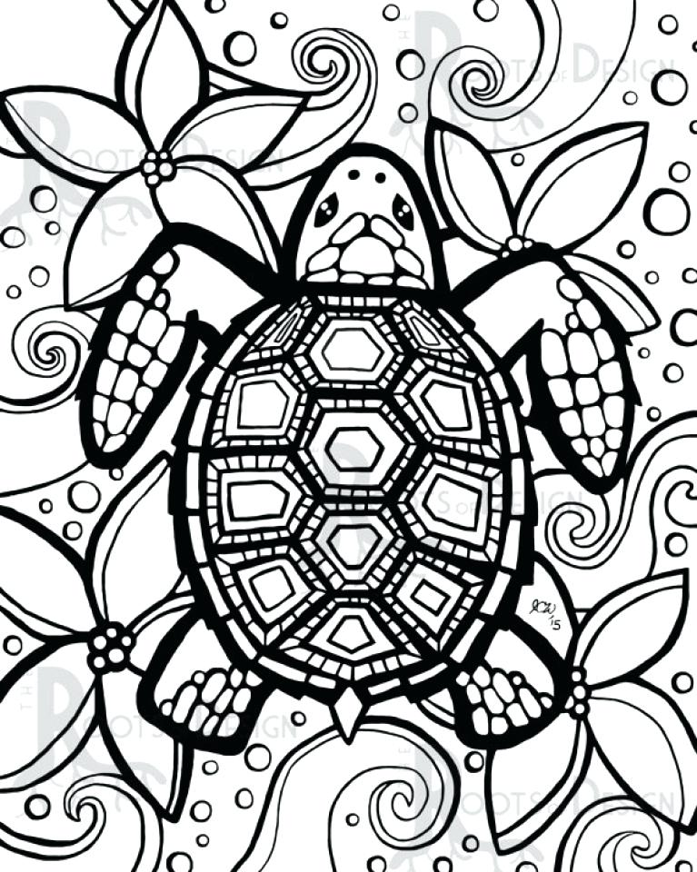 767x960 Turtle Coloring Pages Preschool Turtle Coloring Pages To Print