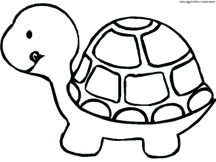 Turtle Coloring Pages To Print