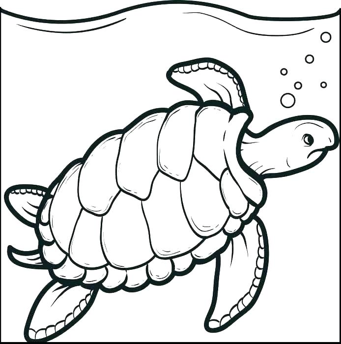 694x700 Turtle Coloring Pages Free Of Cute Turtle Green Sea Turtle
