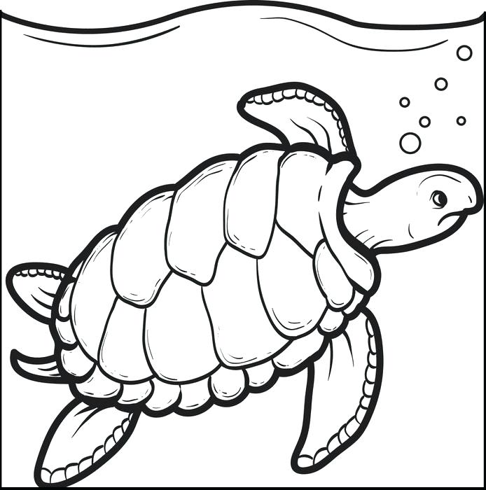 694x700 Free Printable Swimming Turtle Coloring Page For Kids Swimming