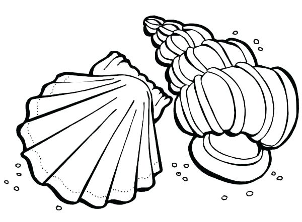 600x442 Sea Shells Coloring Pages Shell Coloring Pages Beautiful Sea