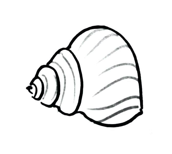 672x602 Shell Coloring Pages Sea Shell Coloring Pages Turtle Shell