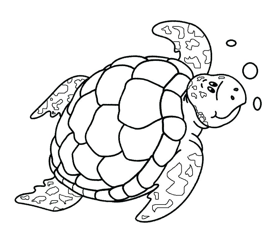 850x770 Coloring For Kids Teenage Mutant Ninja Turtle Pages Cute Coloring