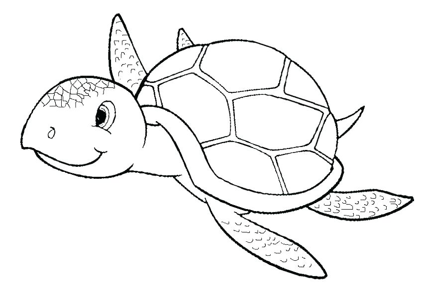 850x594 Coloring Sea Coloring
