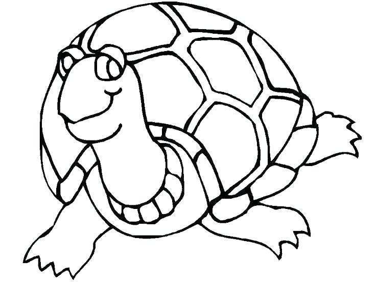 736x552 Coloring Pages Of A Turtle Baby Turtle Coloring Pages Cute Turtle