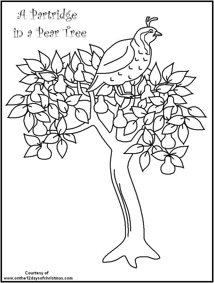 748x989 Free Printable Christmas Coloring
