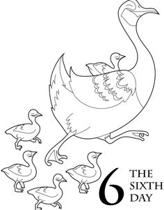 236x301 The 12 Days Of Christmas Coloring Book Pear Trees, Coloring