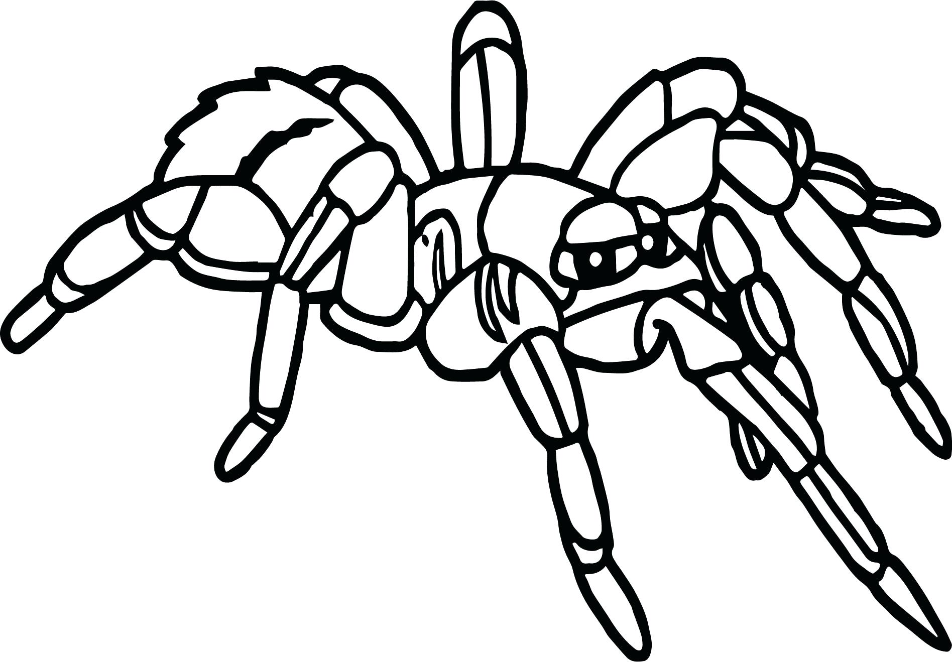 1896x1319 Coloring Pages For Kids Christmas Tarantula Page Doraemon