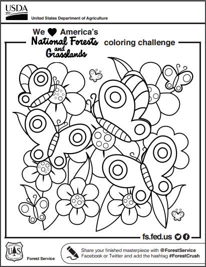 411x532 Every Kid In A Park On Twitter Find @forestservice Coloring