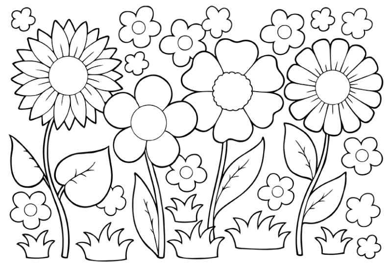 800x549 Helpful April Showers Coloring Pages Twitter