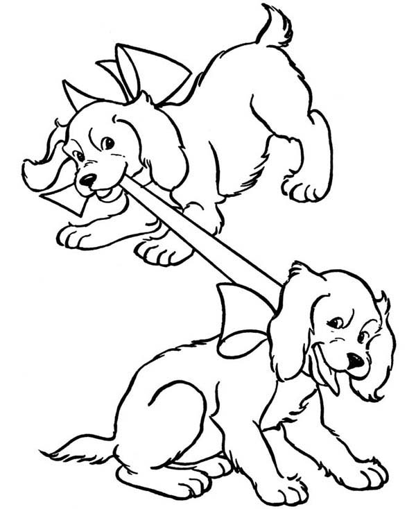 600x734 Two Dog Playing With Their Ribbon Coloring Page Color Luna