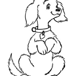 268x268 Choke Chain Dog Collar Coloring Pages Free Amp Printable Coloring