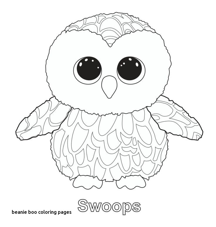 736x773 Ty Beanie Coloring Pages 27 Best Ty Beanies Images