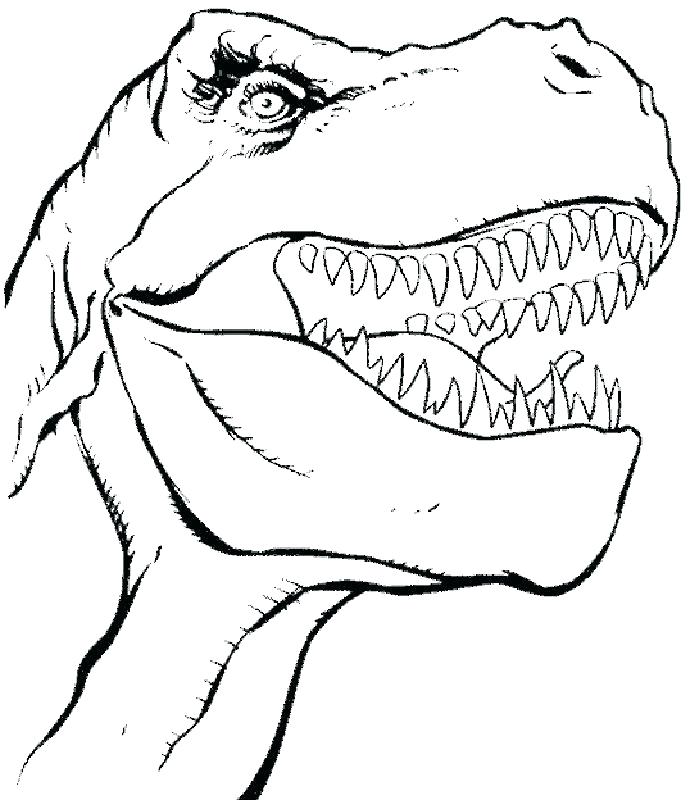 699x800 Trex Coloring Pages T Coloring Page Tyrannosaurus Coloring Page