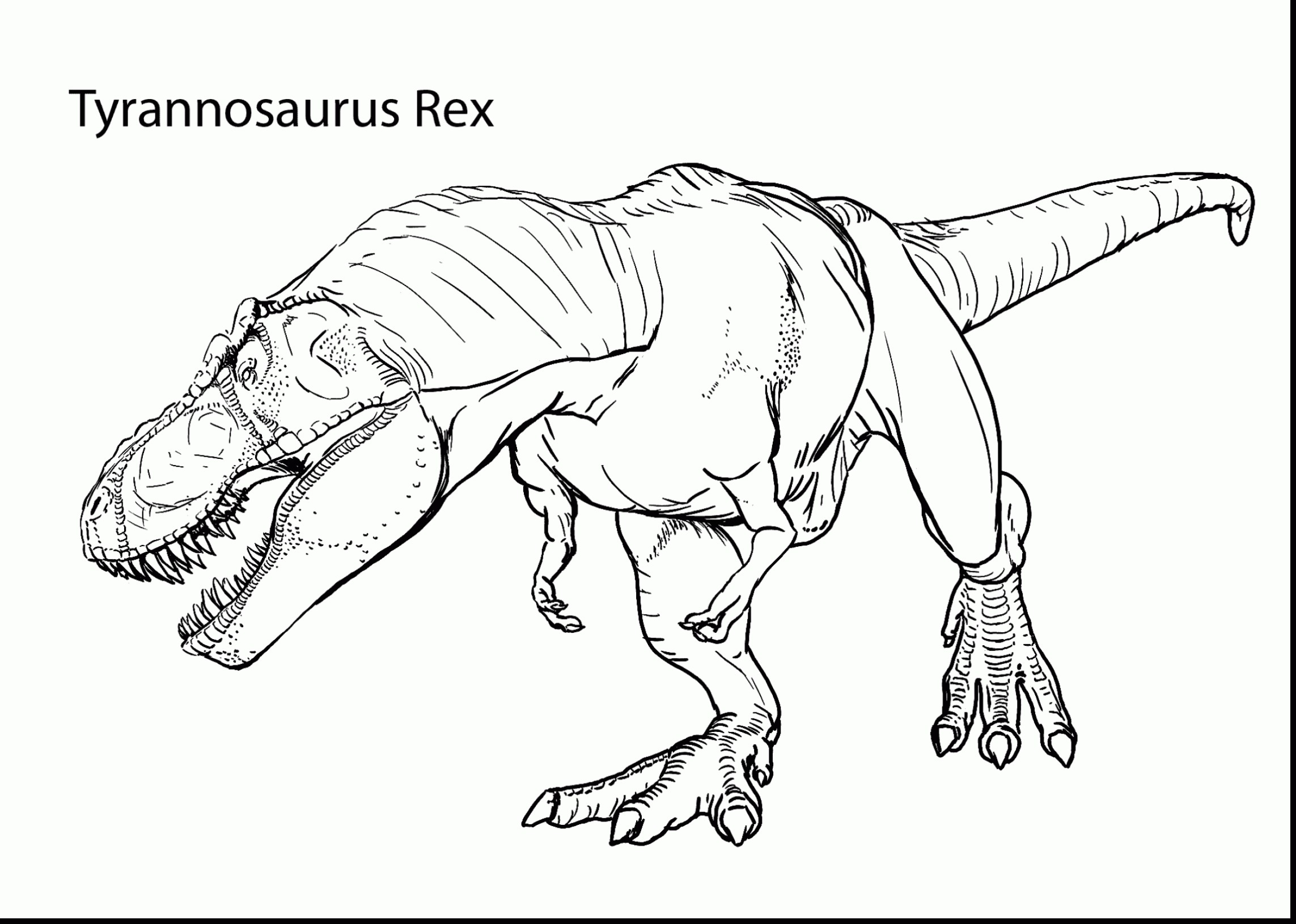 2286x1631 Tyrannosaurus Rex Coloring Page T Rex Coloring Pages With Trex