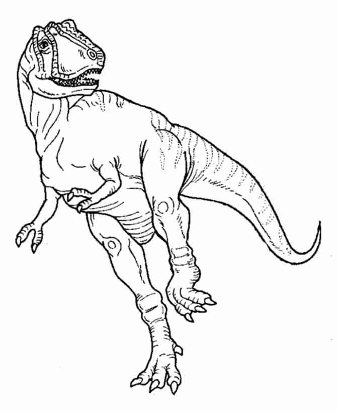 670x820 Tyrannosaurus Rex Free Printable Coloring Page Coloring Pages