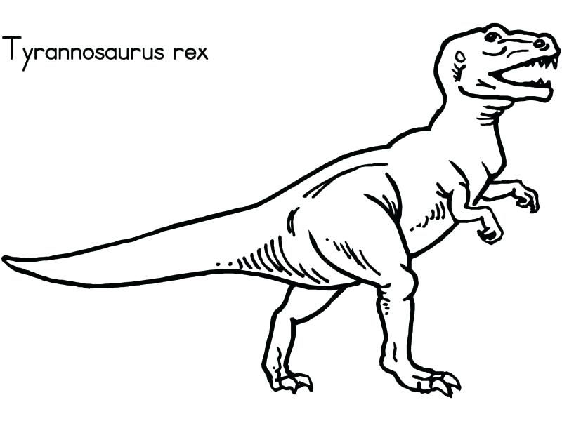 800x600 T Rex Color Page Tyrannosaurus Coloring Page Indominus Rex