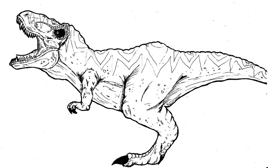 900x566 Tyrannosaurus Rex Coloring Page T Rex Coloring Pages Coloring Page