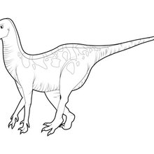 220x220 Tyrannosaurus Rex Coloring Pages