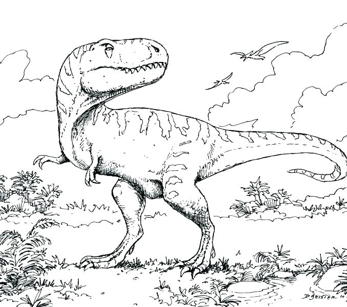 678x600 Mesmerizing Tyrannosaurus Rex Coloring Pages Mesmerizing